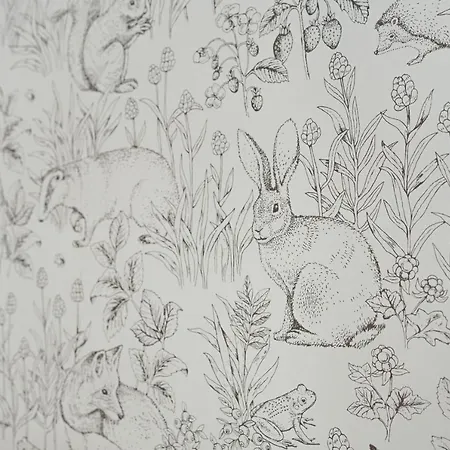 Swieradowka Appartement Świeradów-Zdrój