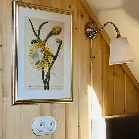 Swieradowka * Świeradów-Zdrój