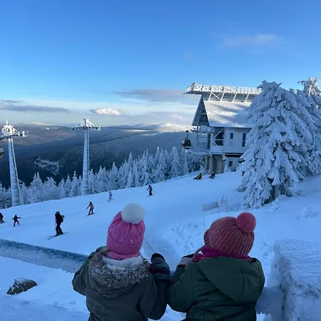 Swieradowka 公寓 *