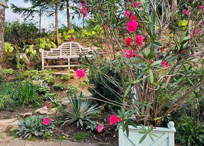 Swieradowka Świeradów-Zdrój